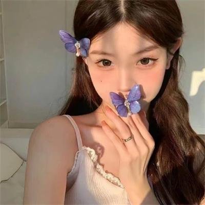 希德尼娅的骑士